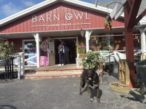 Barn Owl Garden Center