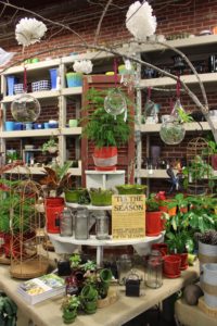 Dubow Norris Team Up For Qvc Lawn Garden Retailer