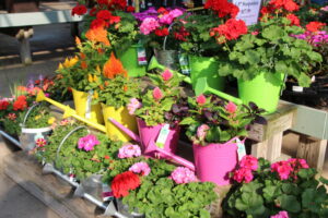 Pasquesi Home and Gardens repurposed green goods