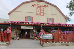 Ashcombe Farm and Greenhouses