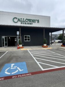 Calloway's Nursery