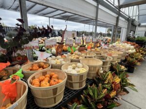 Calloway's Nursery