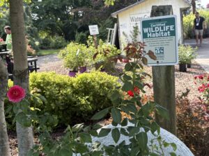 Wilson's Garden Center