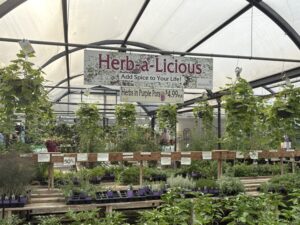 Wilson's Garden Center