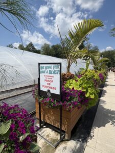 Groovy Plants Ranch