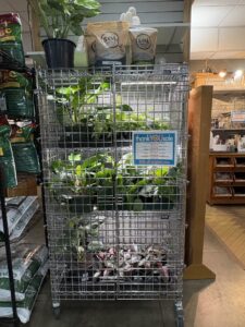 Oakland Nurseries