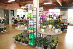 Pasquesi Home and Gardens green goods merchandising