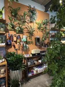 Sprout Home