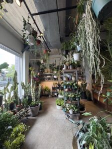 Sprout Home