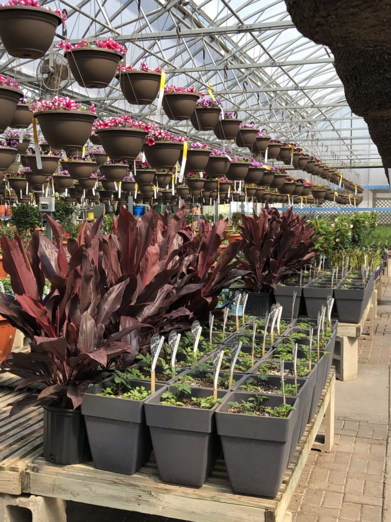 Inspiration Books Archive Lawn & Garden Retailer