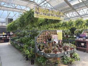 Wilson's Garden Center