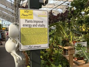Wilson's Garden Center