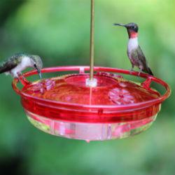 Hummingbird Feeder - Lawn & Garden Retailer