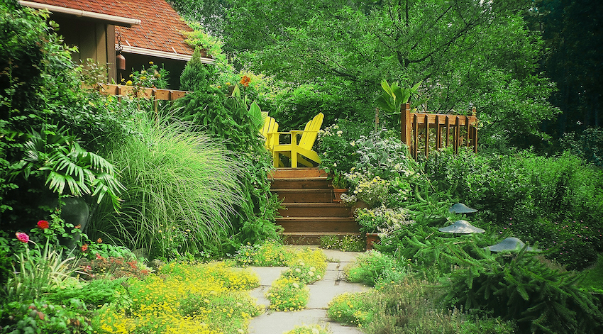 Design integration: Welcoming stone walkway with low perennials in walk, color echo of perennials and painted chairs on porch; complex, colorful landscape beside – Crow (Michigan) 8/99