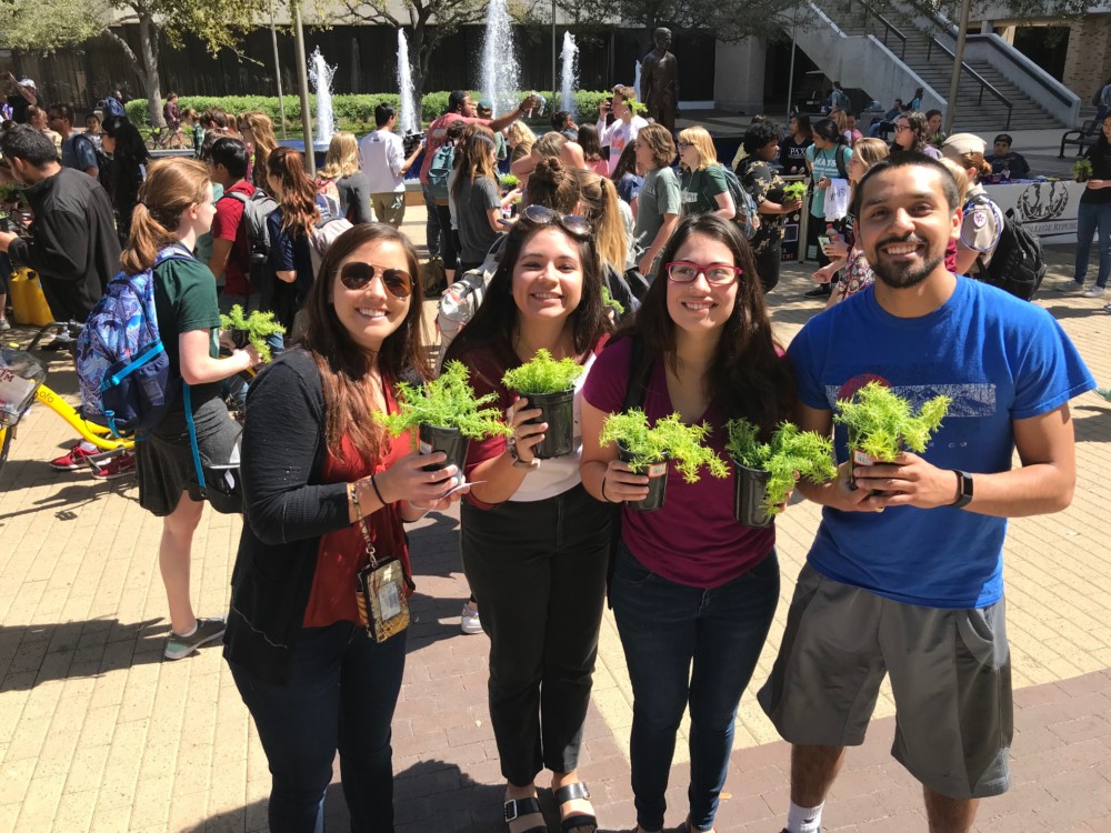 Collegiate Plant Initiative