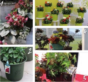 2019 Spring Trials: Not-Your-Average Container
