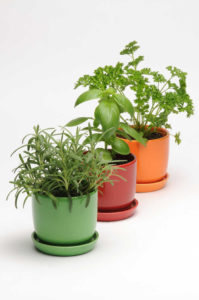 Sparking more sales herbs