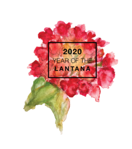 National Garden Bureau Year of the Lantana