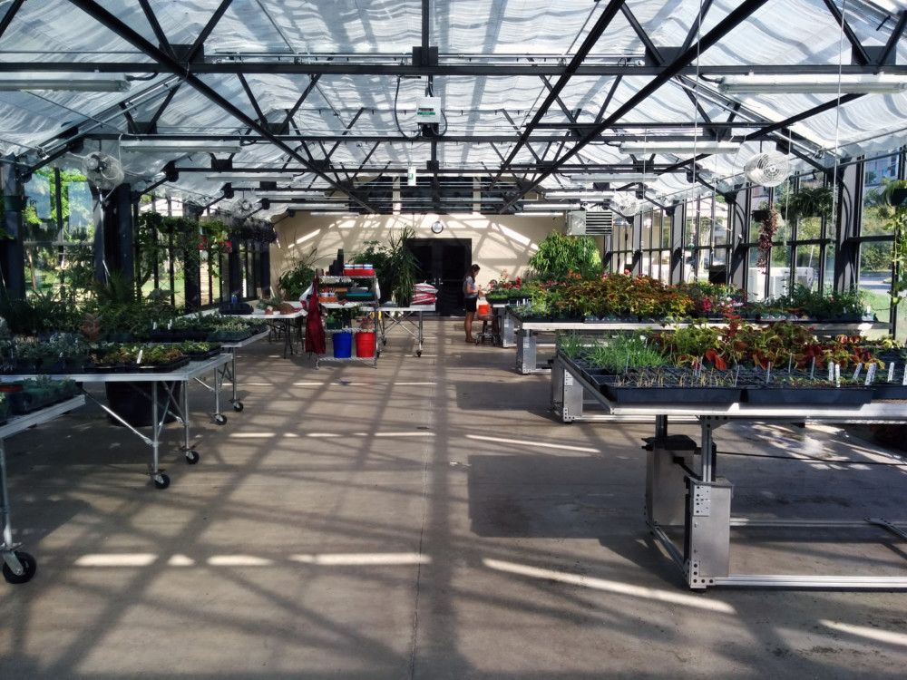 Wilmot Botanical Gardens Therapeutic Greenhouse Interior