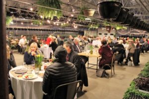 Valentine’s Day Dinner in the greenhouse 
