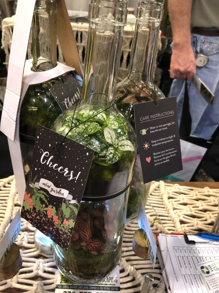 Flori-Design - Cheers Mini Garden