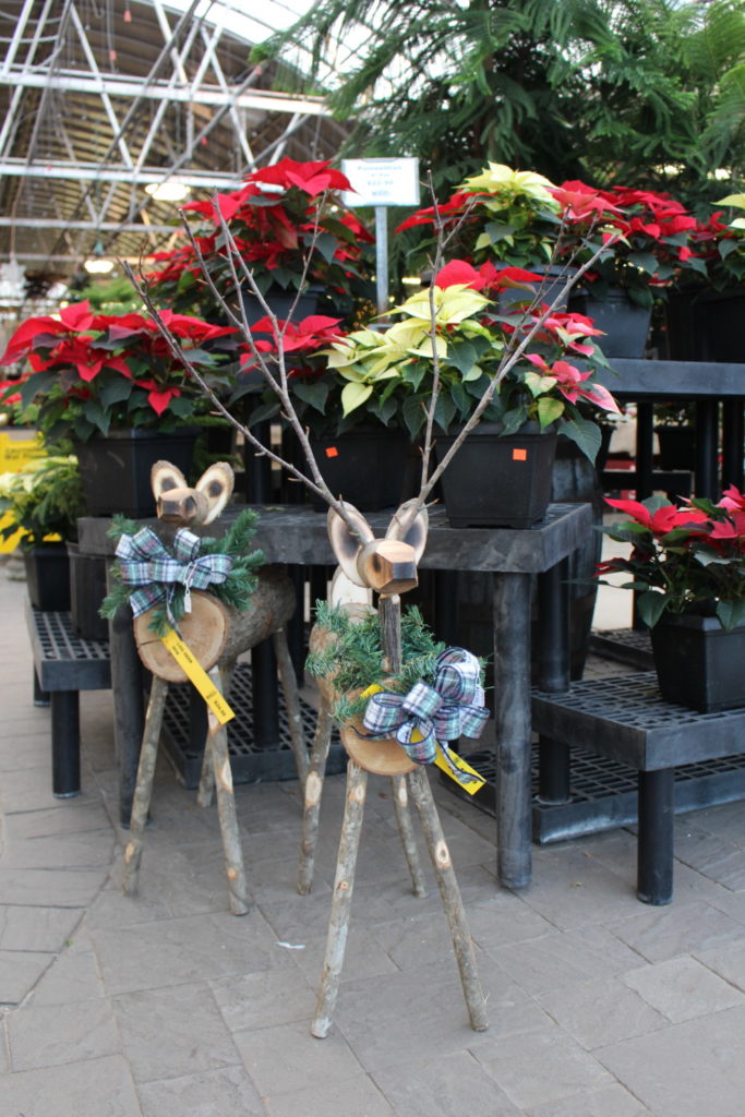 Inside, these sweet deer greet customers and draw them to benches brimming with poinsettias.
