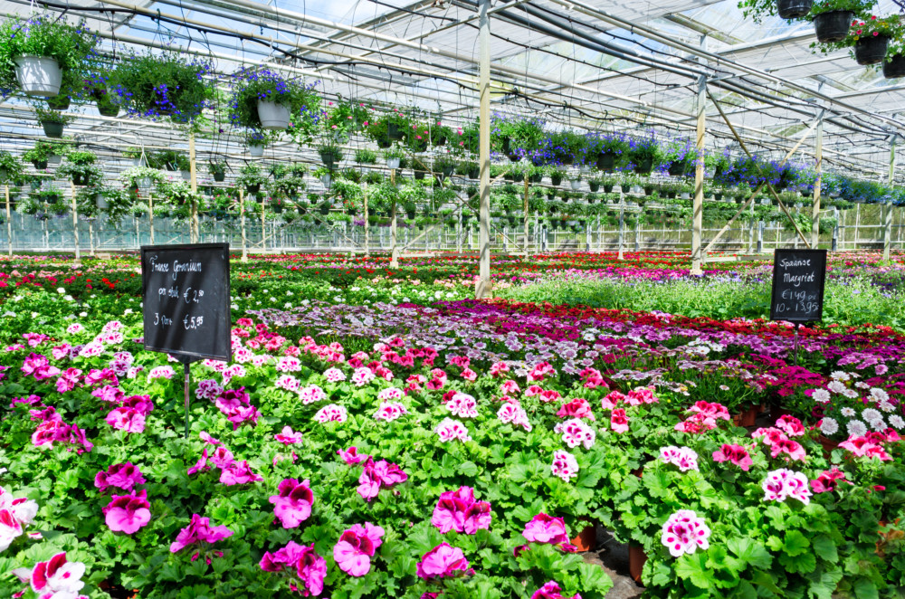 Garden centers must not only create consumer experiences, but build awareness that lasts.
