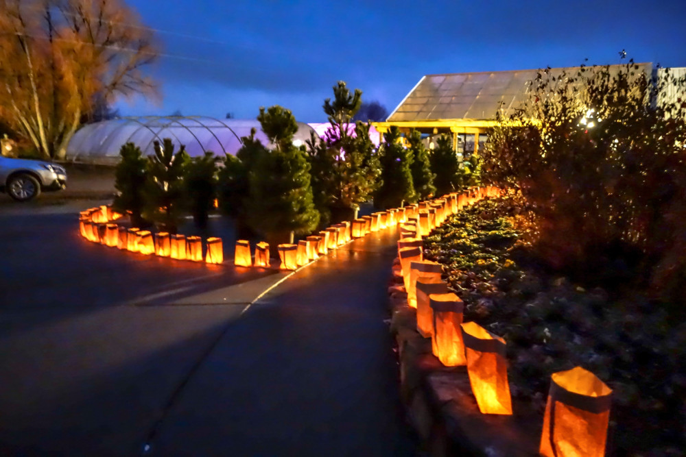 Luminaria Night is the most magical night of the year for Four Seasons Greenhouse and Nursery