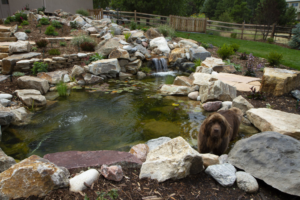 Increasing water feature sales in your independent garden center is easier than you think.