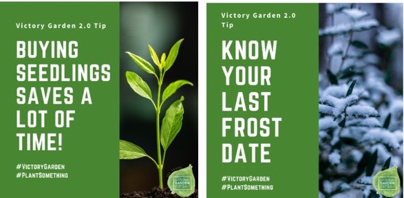 NGB Actively Promoting Victory Garden 2.0