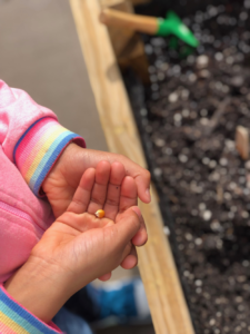 Growing Future Gardeners With Kids Gardening