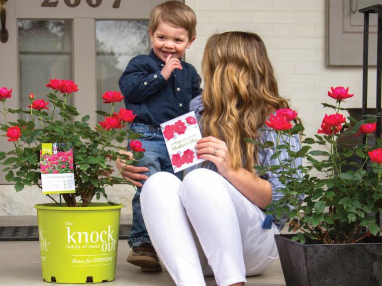 Star Roses and Plants Launches “Make Any Day Mother’s Day” Campaign