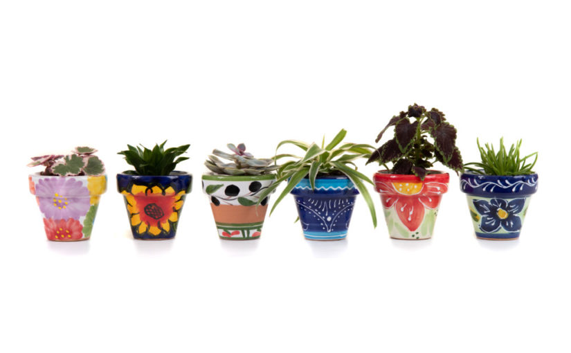 Sunshine-Ceramica windowboxes-Mini-Planters