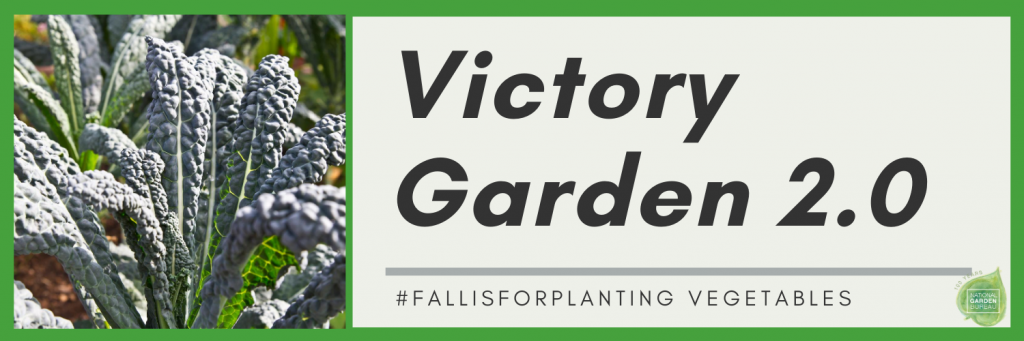 NGB Victory Garden-fall-vegetables--1024x341