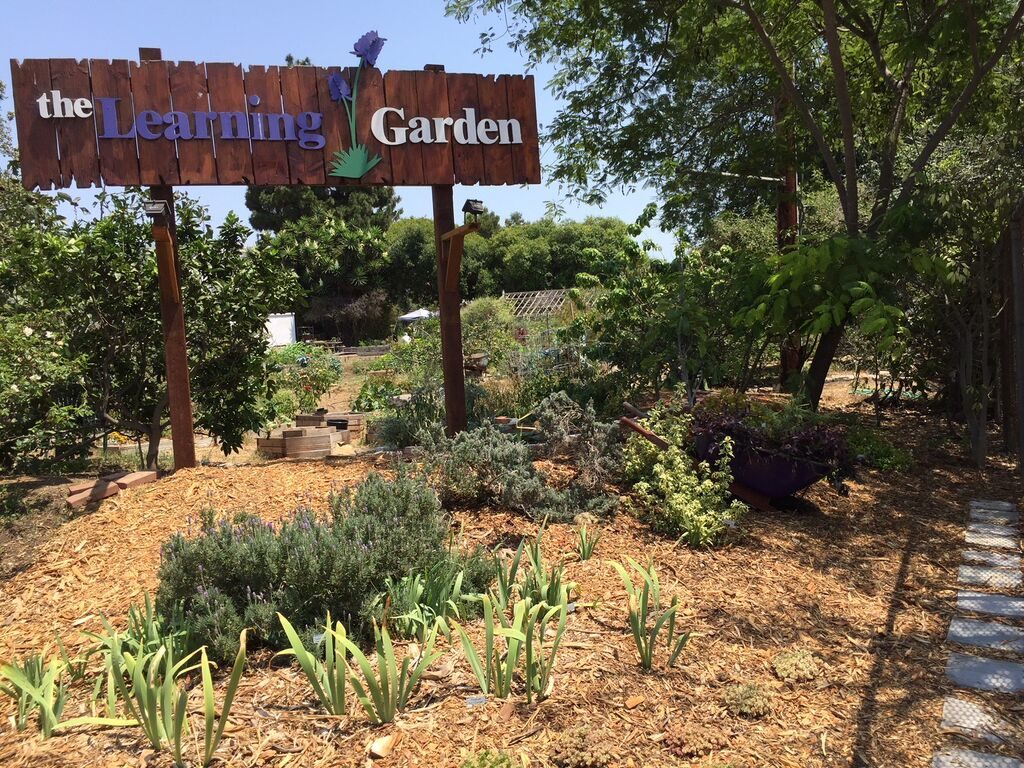 The Learning Garden NGB, American Meadows and Sakata Seed America Announce Horticulture Therapy Gardens Grant Winners