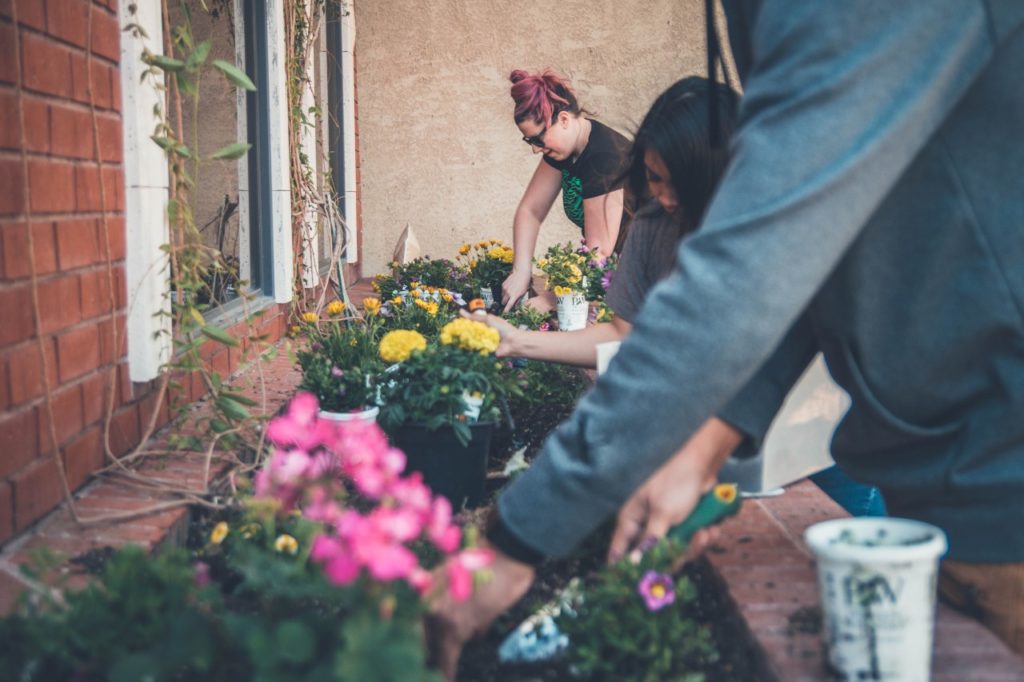 New Survey Reaffirms Gardening’s Popularity During Pandemic