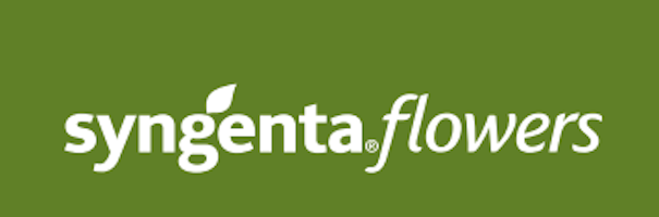 Syngenta Flowers-Logo