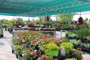 Whispering Hills Garden & Landscape Center green goods merchandising