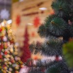 stock NRF Reports Holiday Shoppers Took Advantage of Early, Thanksgiving Weekend Deals