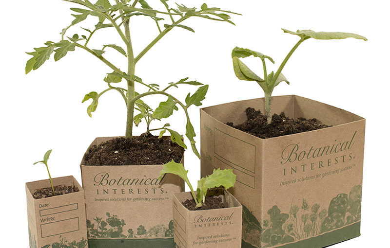 Botanical Interests Recycled Paper Pots