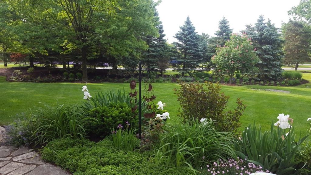 MJ Designs - Temple residence - Perennial garden #1
