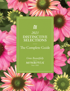 Monrovia Distinctive Selections Guide Now Available