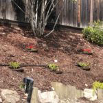 Hillside Planter Offers Solution for Planting on Inclines