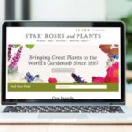 Star Roses and Plants Debuts Redesigned Website