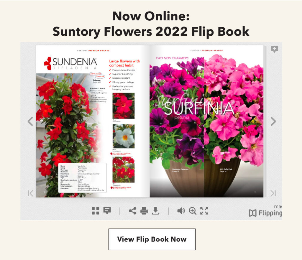 Digital Catalog from Suntory Flowers Highlights 2022 New Introductions