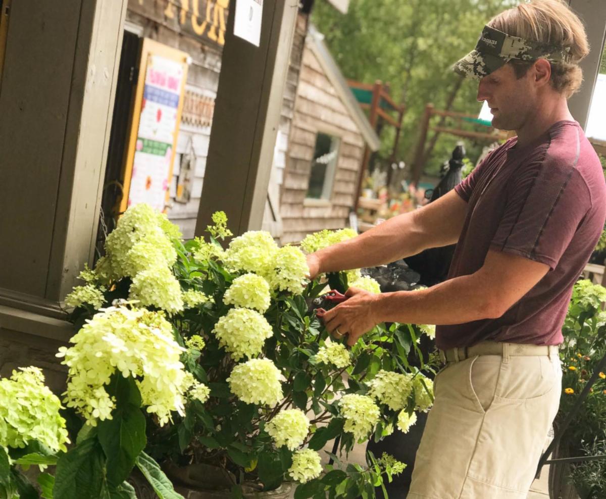 Flower Nursery In Dothan Al Best Flower Site