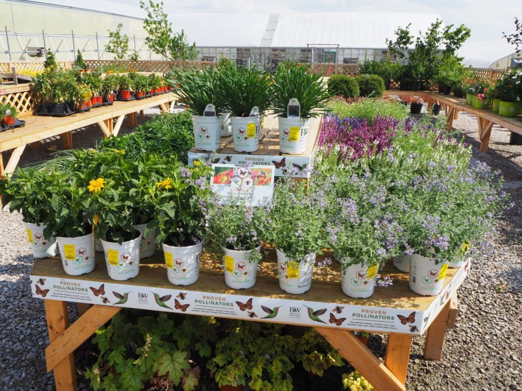 Merchandising Tips to Sell More Pollinator-Friendly Goods Ahner Florist