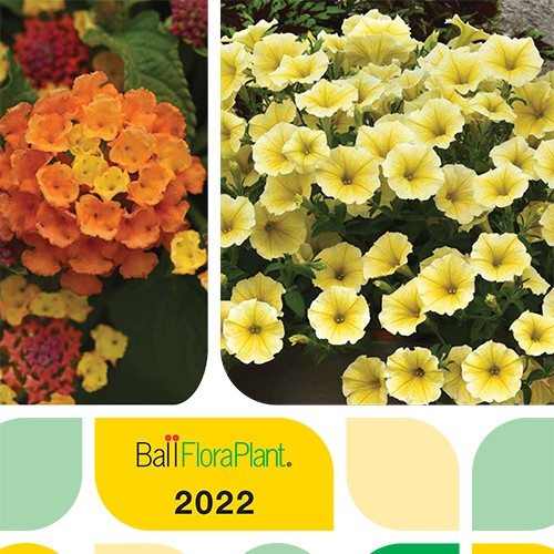 BallFloraPlant2022Catalog-cover-horiz