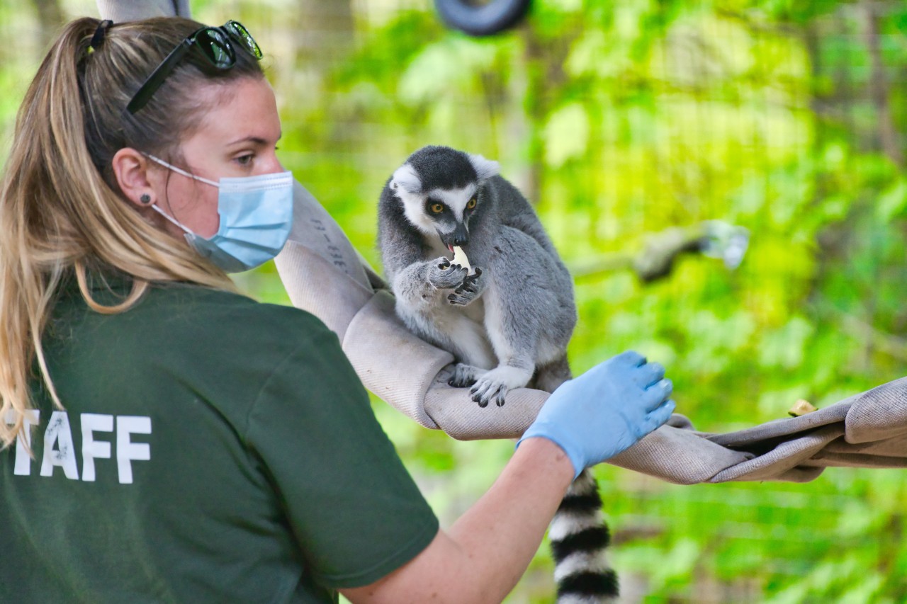 is-zookeeper-part-of-your-job-description-lawn-garden-retailer