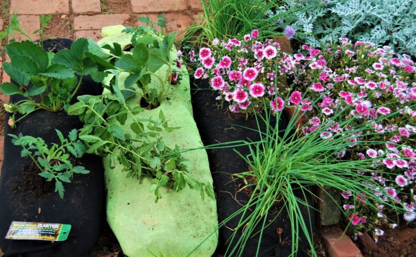 Natural Growth Inc. garden planter sock